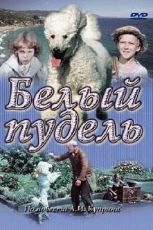 Белый пудель смотреть