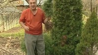 Дачные истории 1 сезон Советы начинающим садоводам