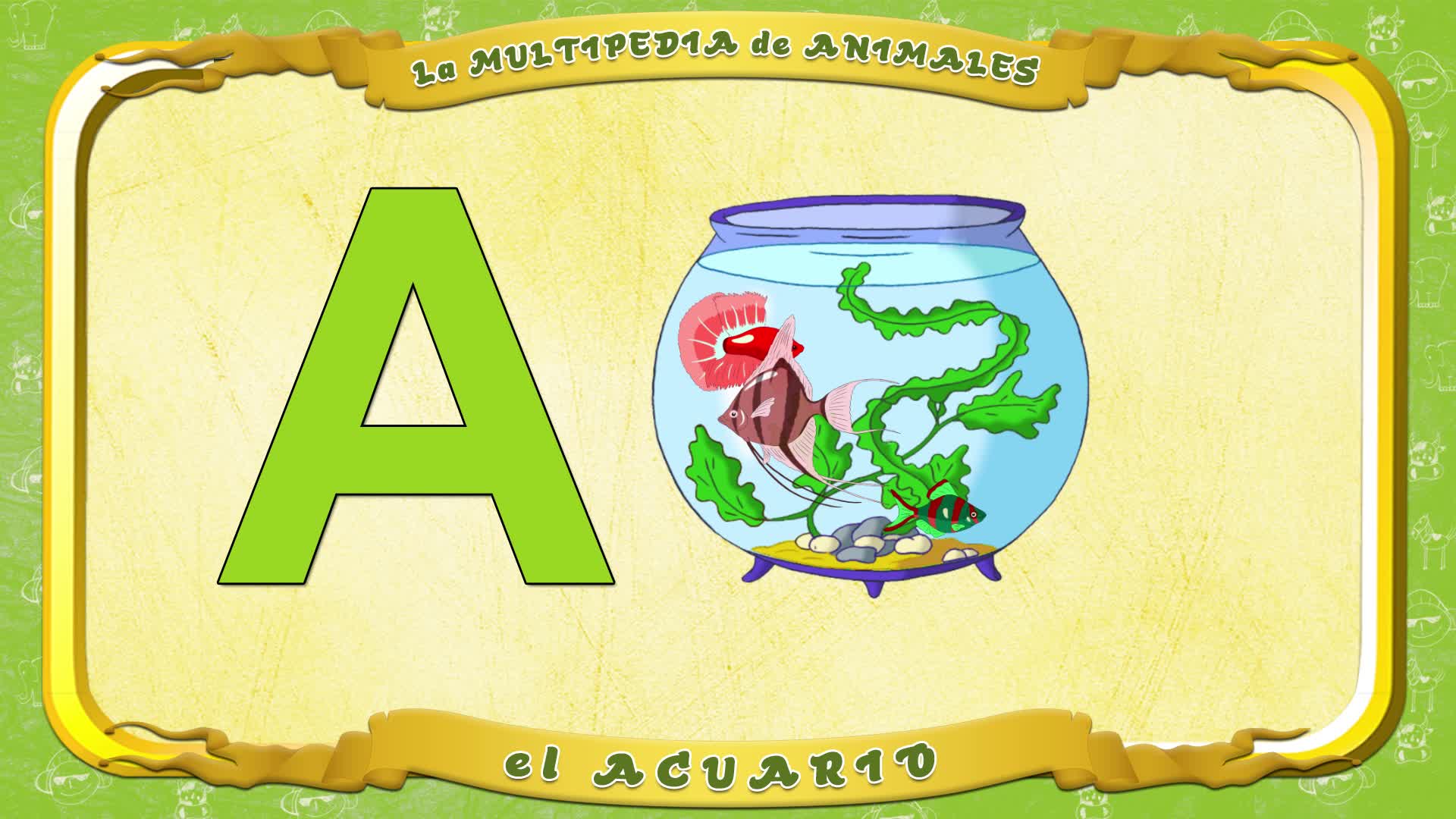 la Multipedia de animales. Letra A - el Acuario