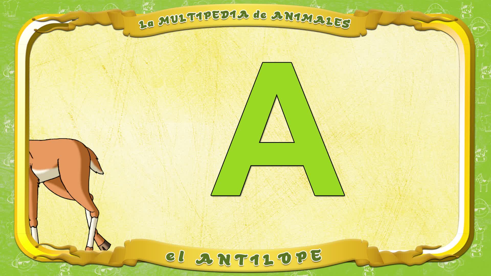 la Multipedia de animales. Letra A - el Antilope