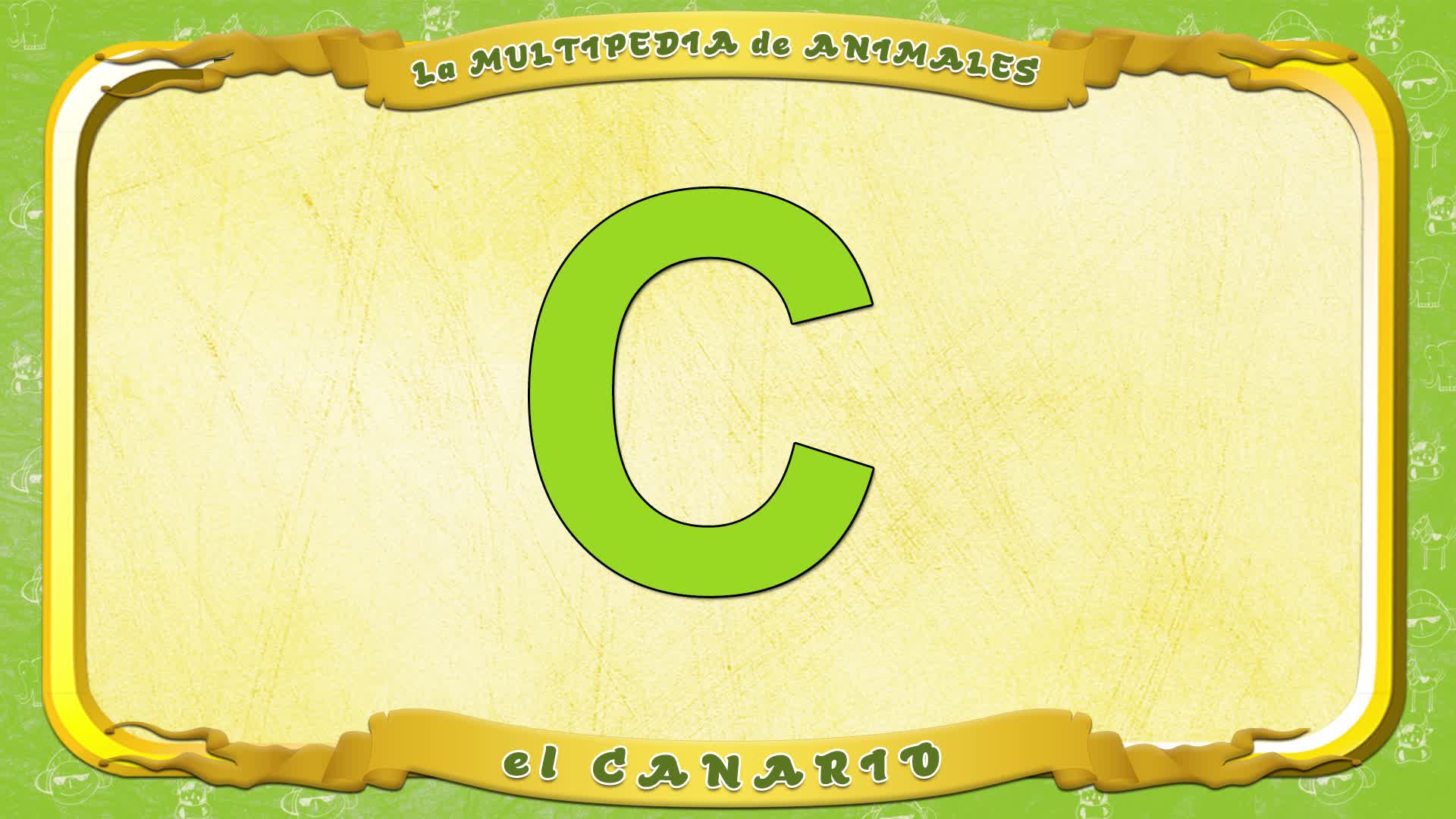 la Multipedia de animales. Letra C - el Canario