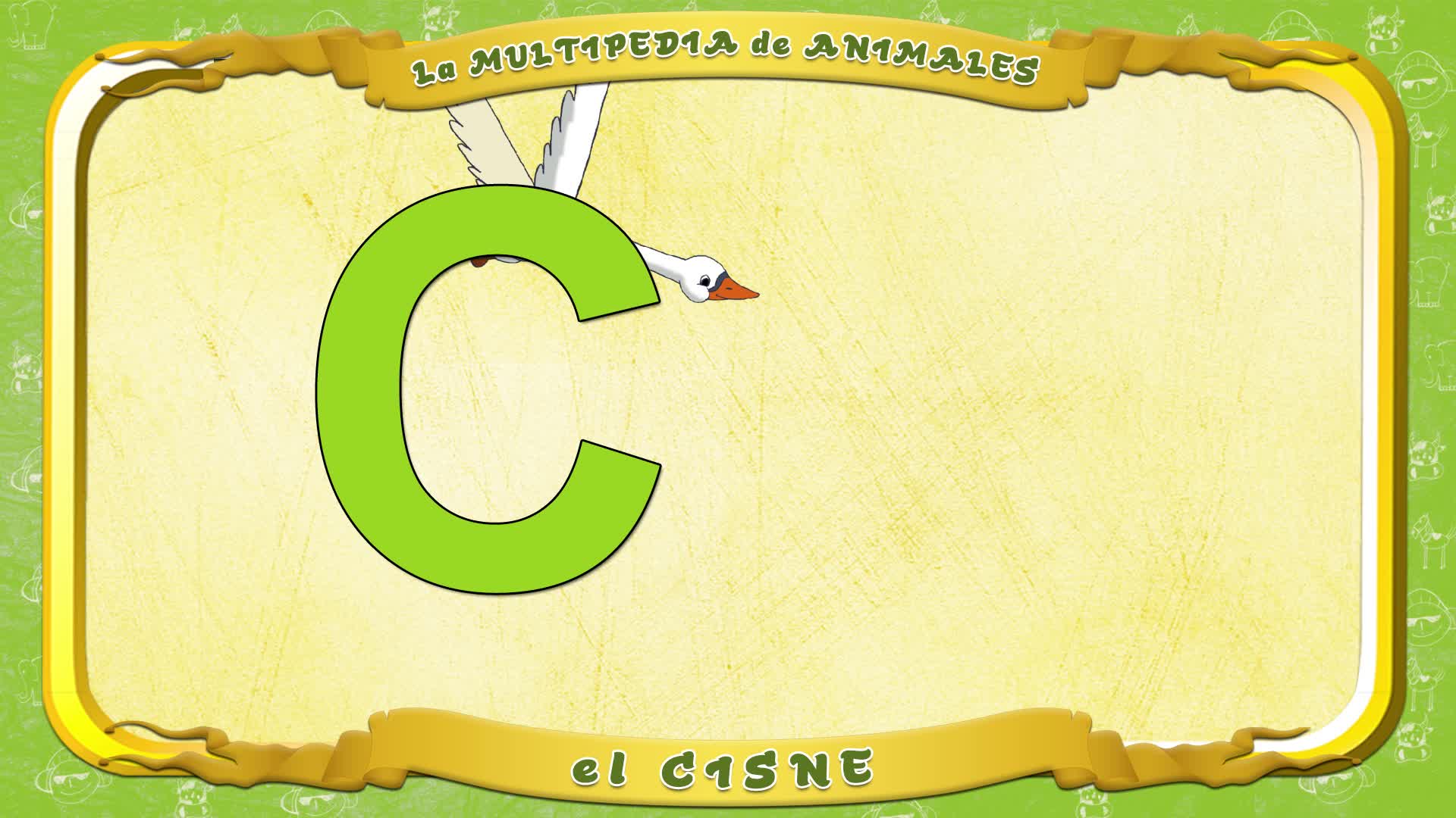 la Multipedia de animales. Letra C - el Cisne