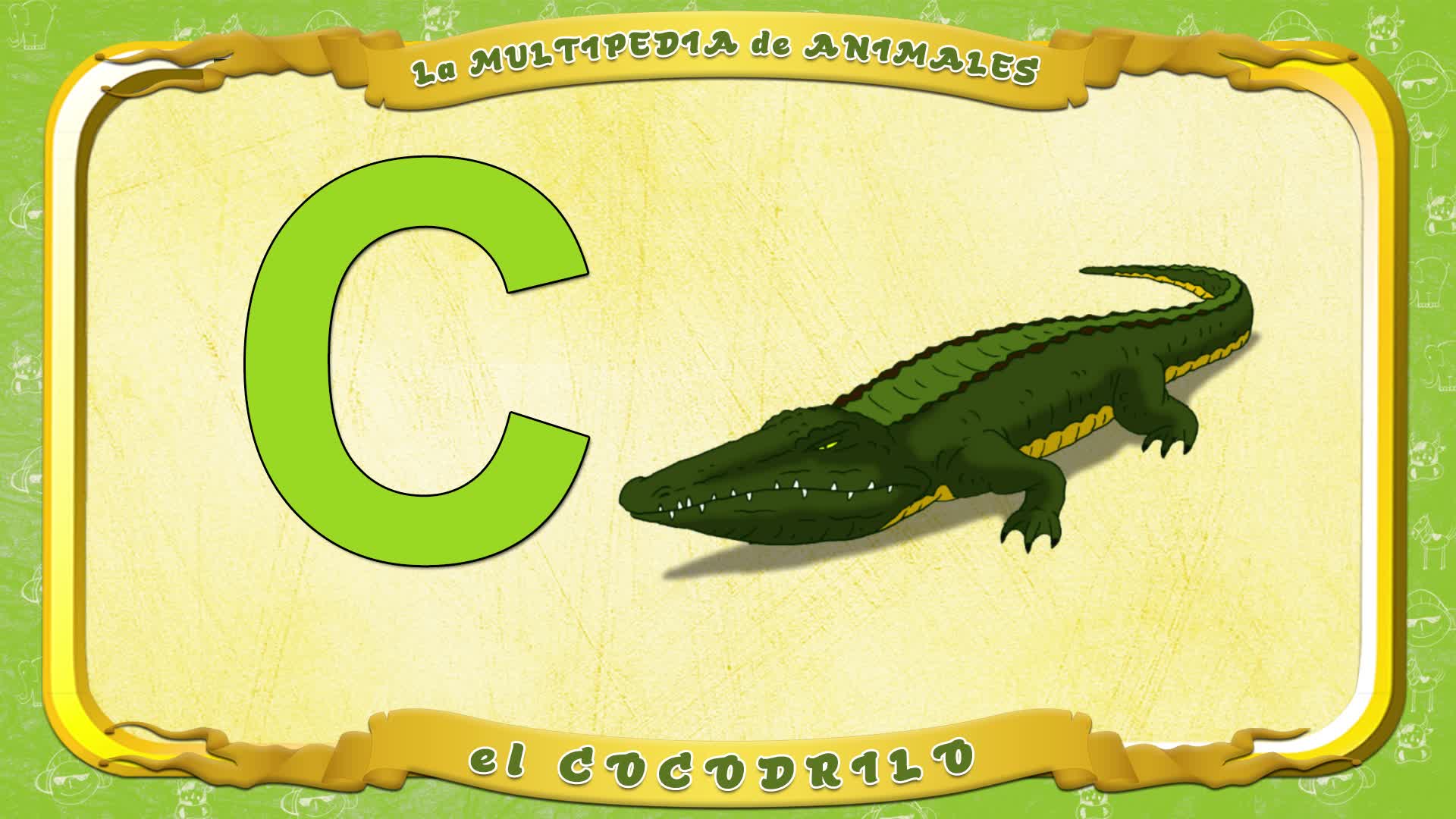 la Multipedia de animales. Letra C - el Cocodrilo