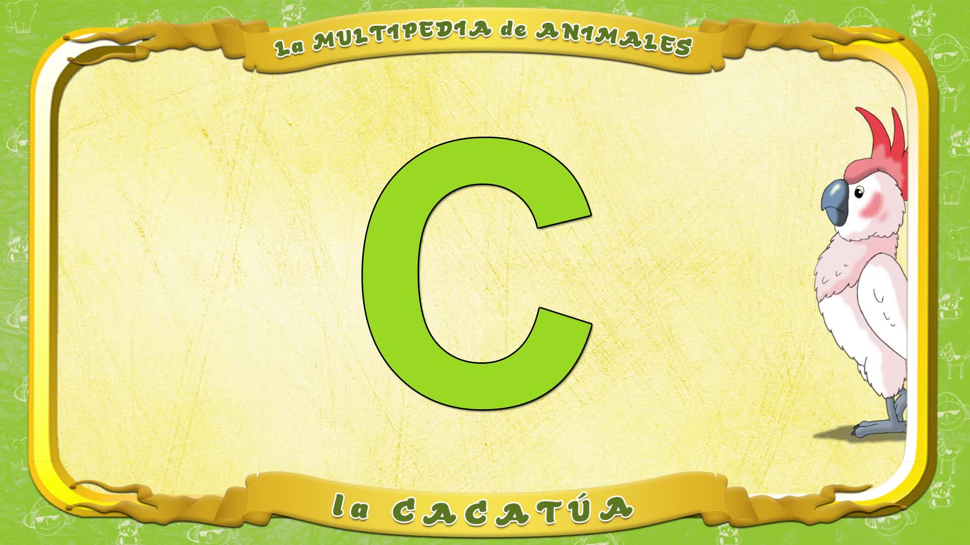 la Multipedia de animales. Letra C - la Cacatúa