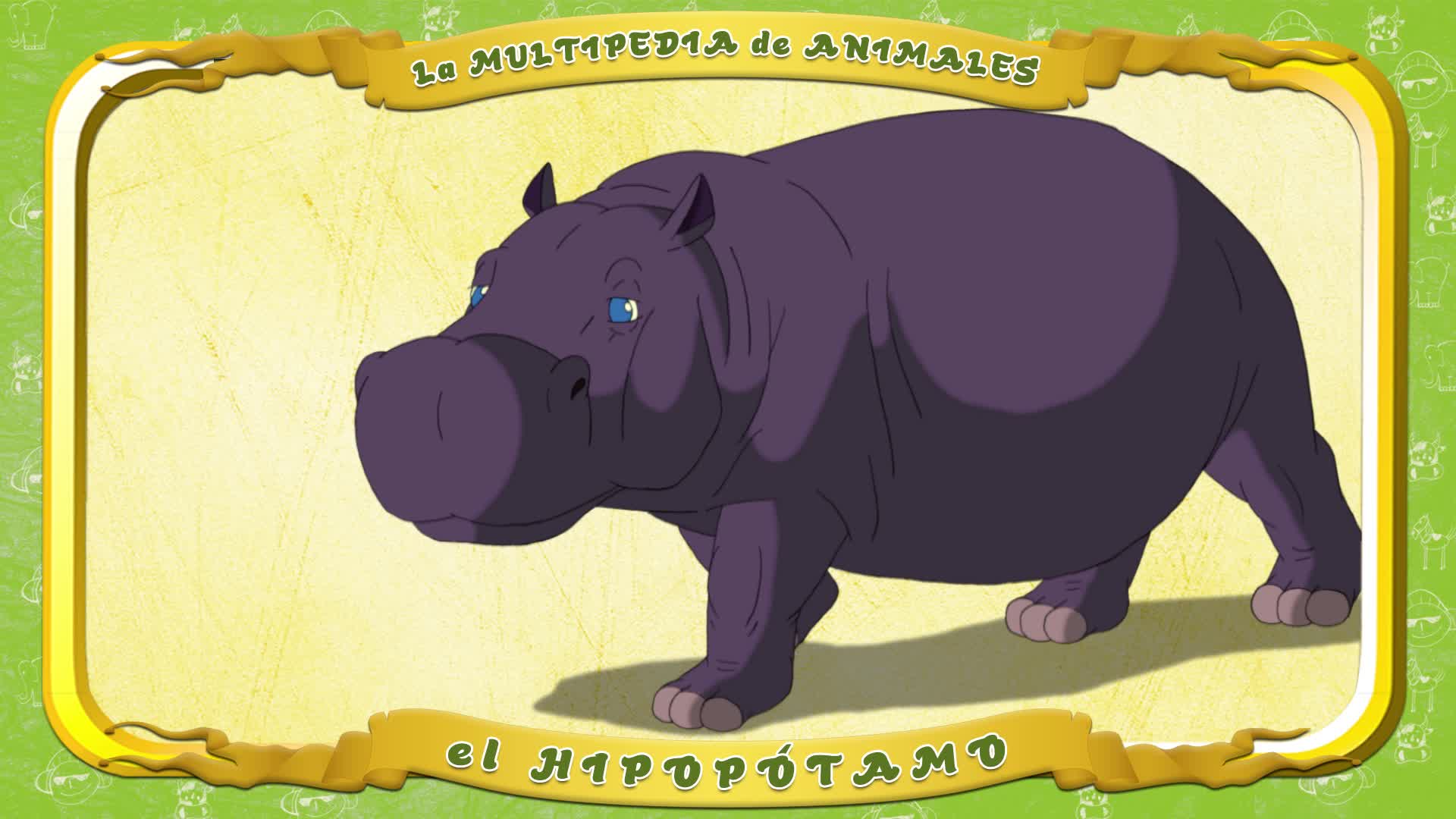 la Multipedia de animales. Letra H - el Hipopótamo