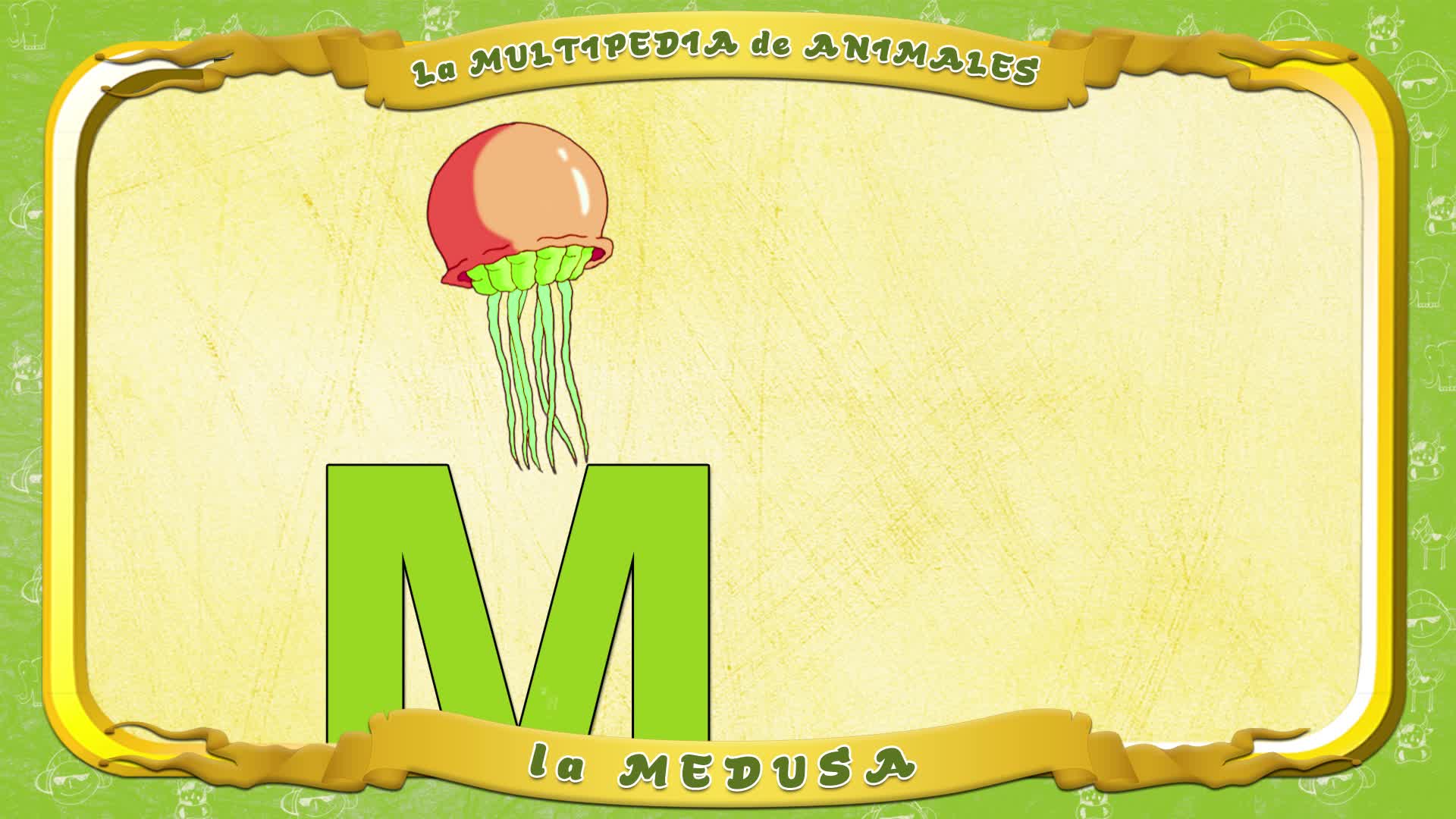 la Multipedia de animales. Letra M - la Medusa