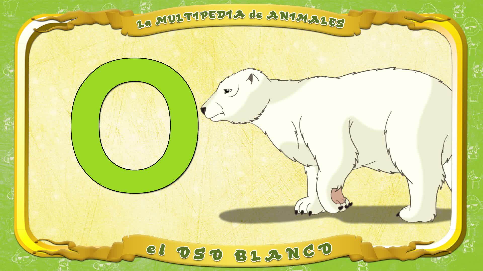 la Multipedia de animales. Letra O - el Oso blanco