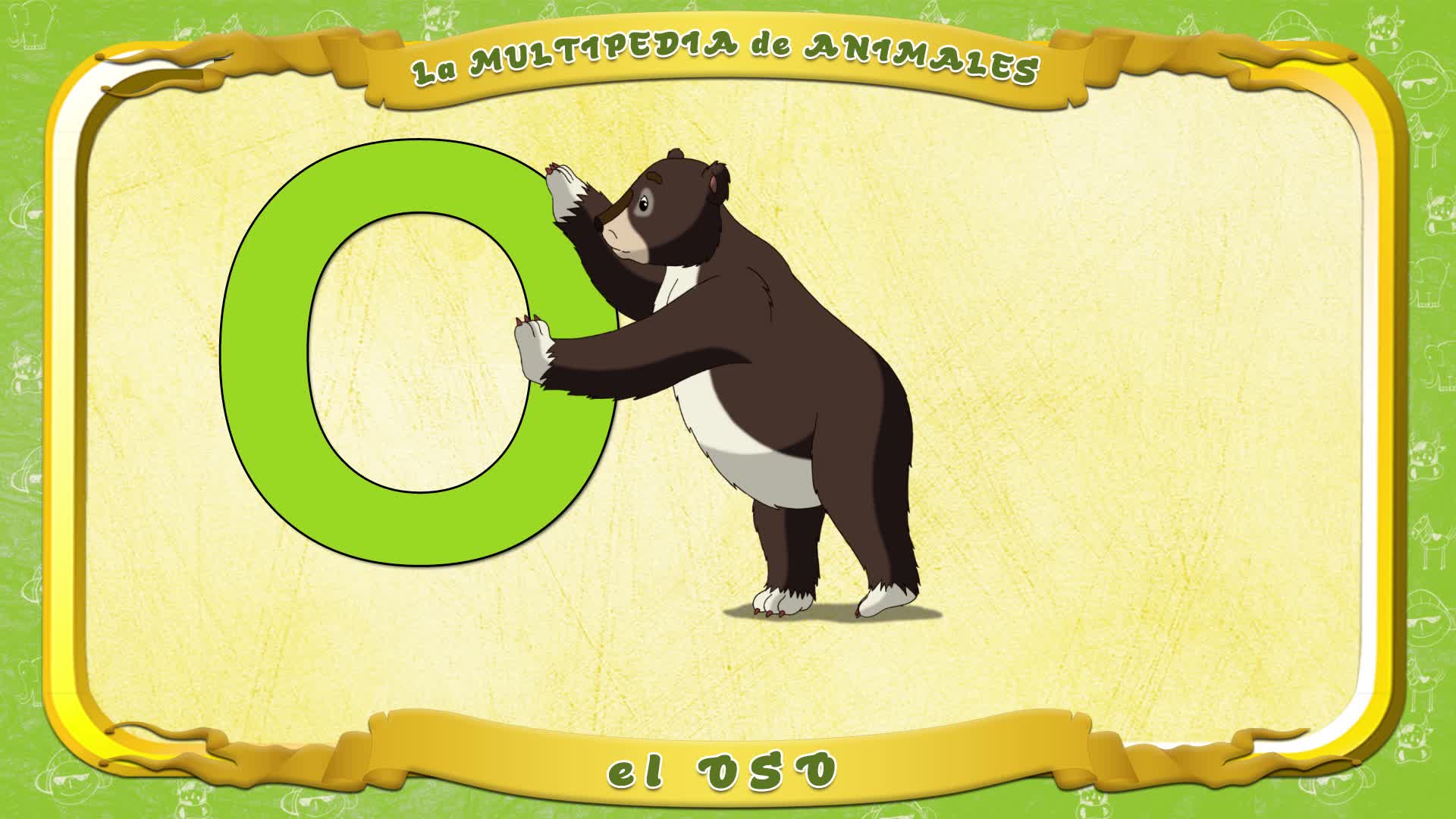 la Multipedia de animales. Letra O - el Oso