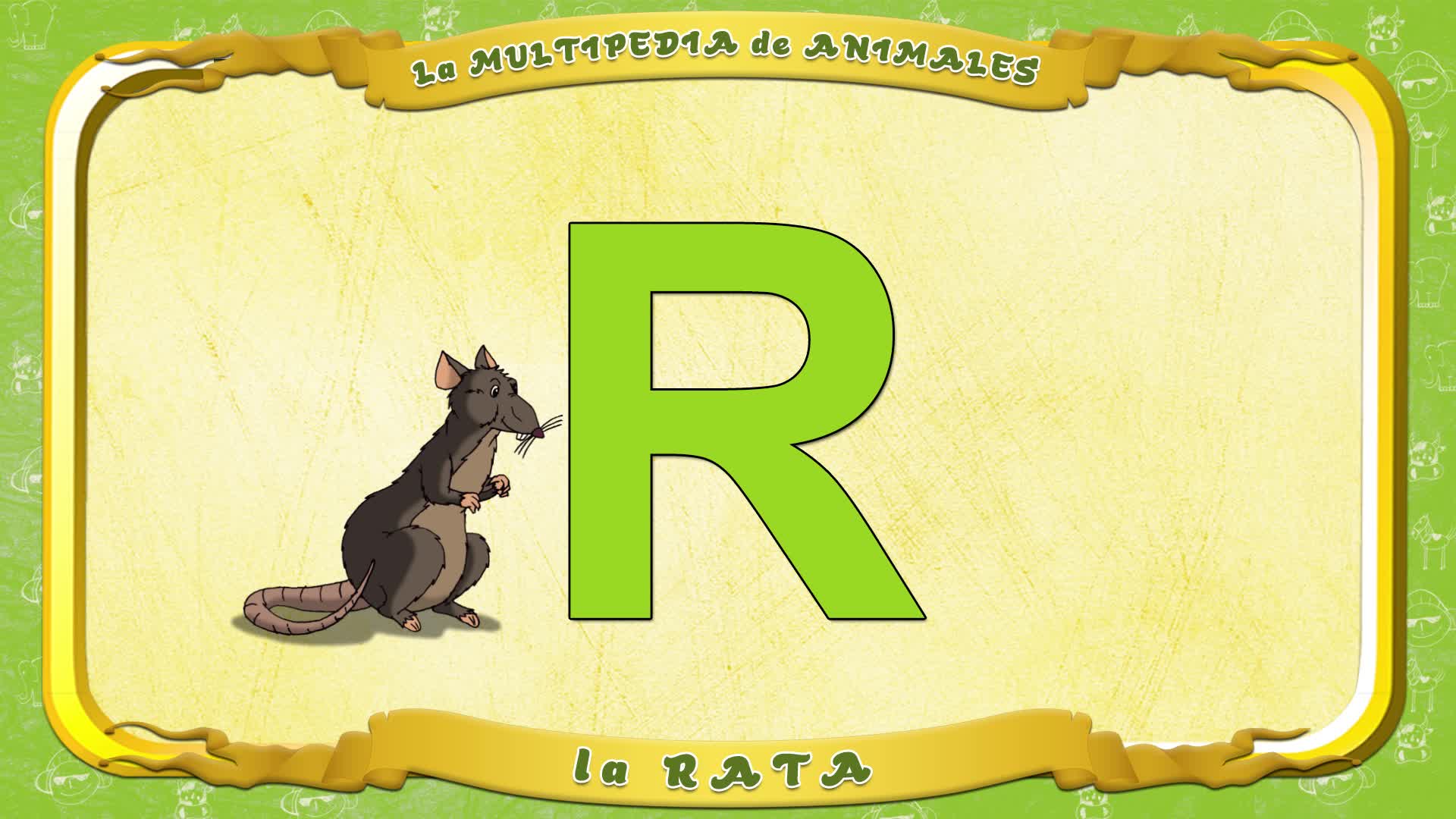la Multipedia de animales. Letra R - la Rata