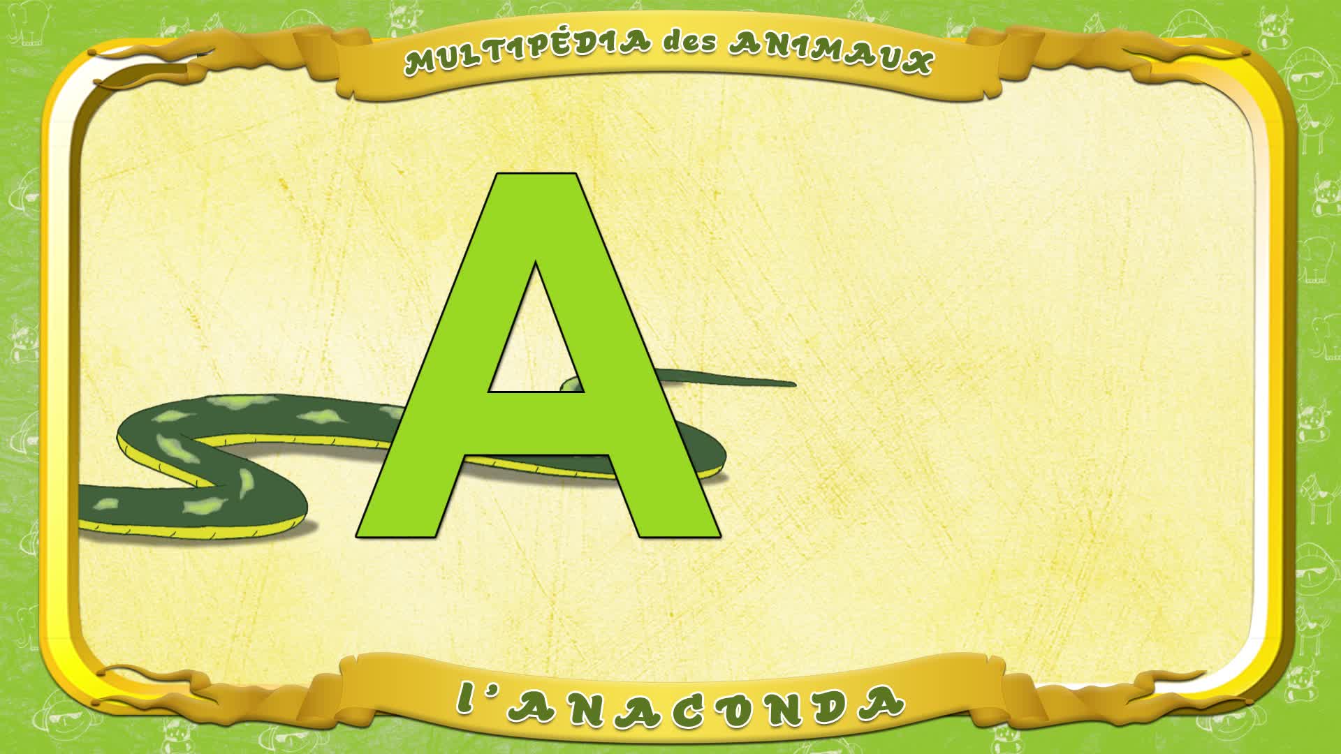 Multipédia des animaux. La lettre A - l'Anaconda