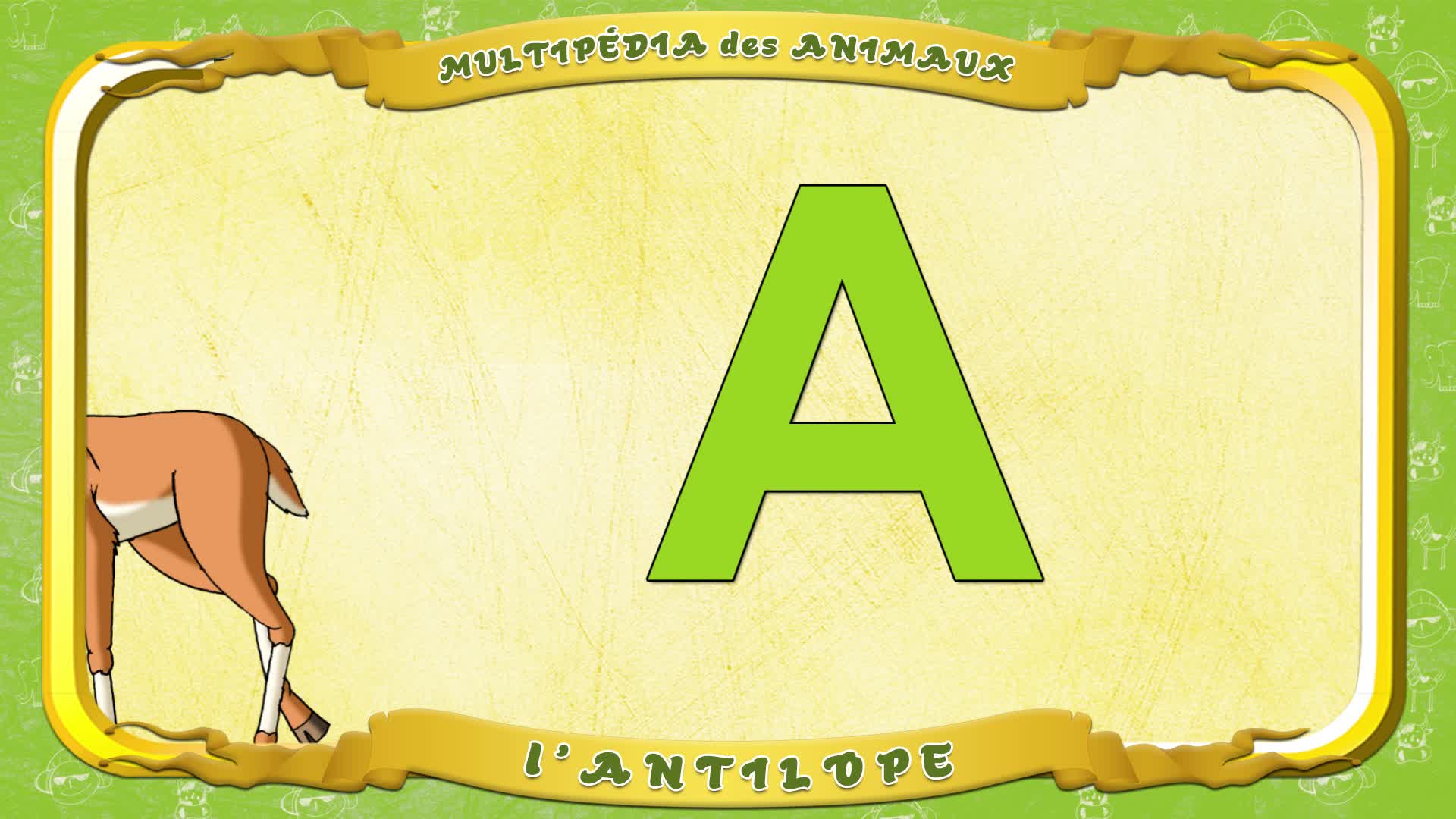 Multipédia des animaux. La lettre A - l'Antilope