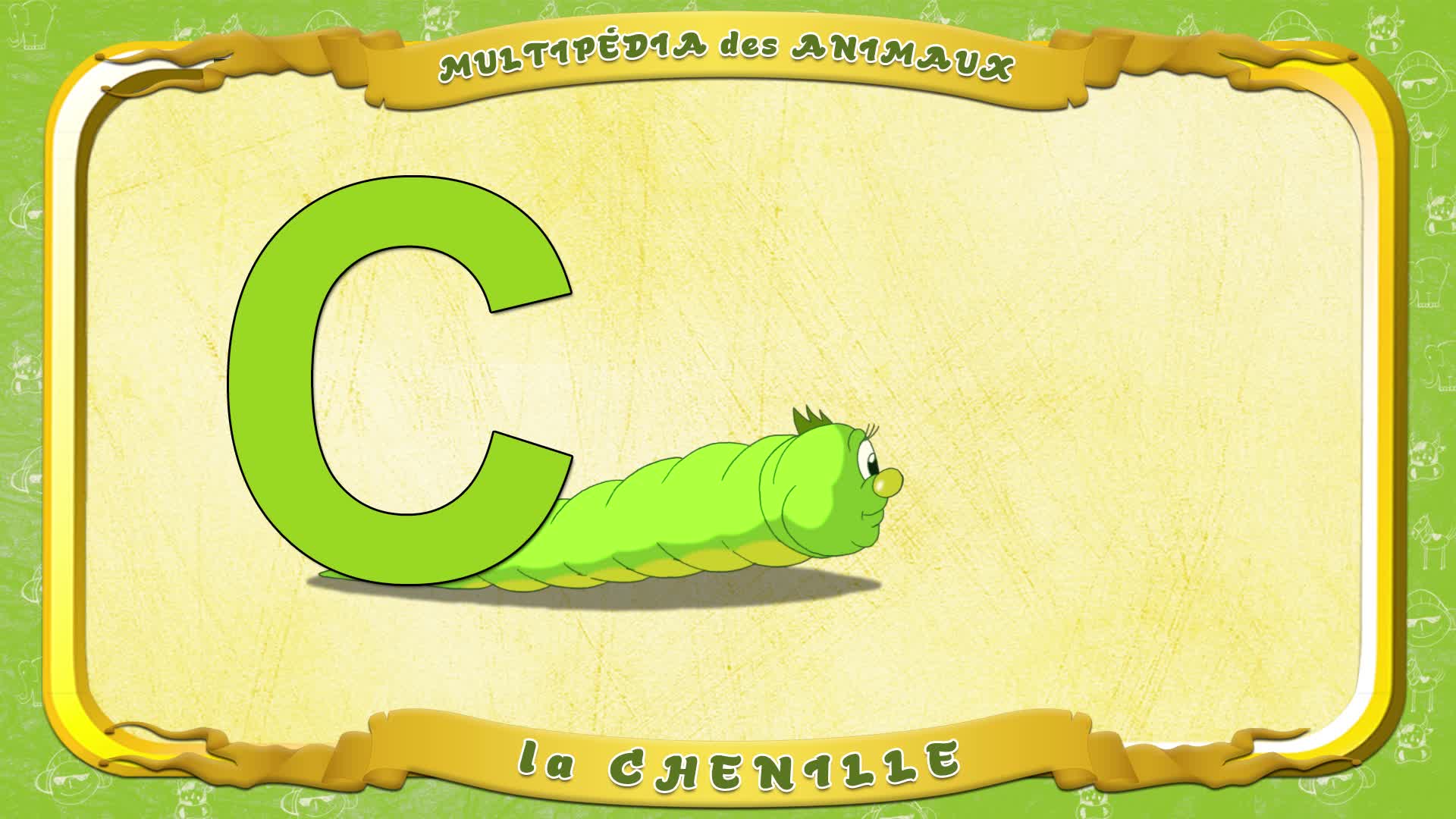Multipédia des animaux. La lettre C - la Chenille