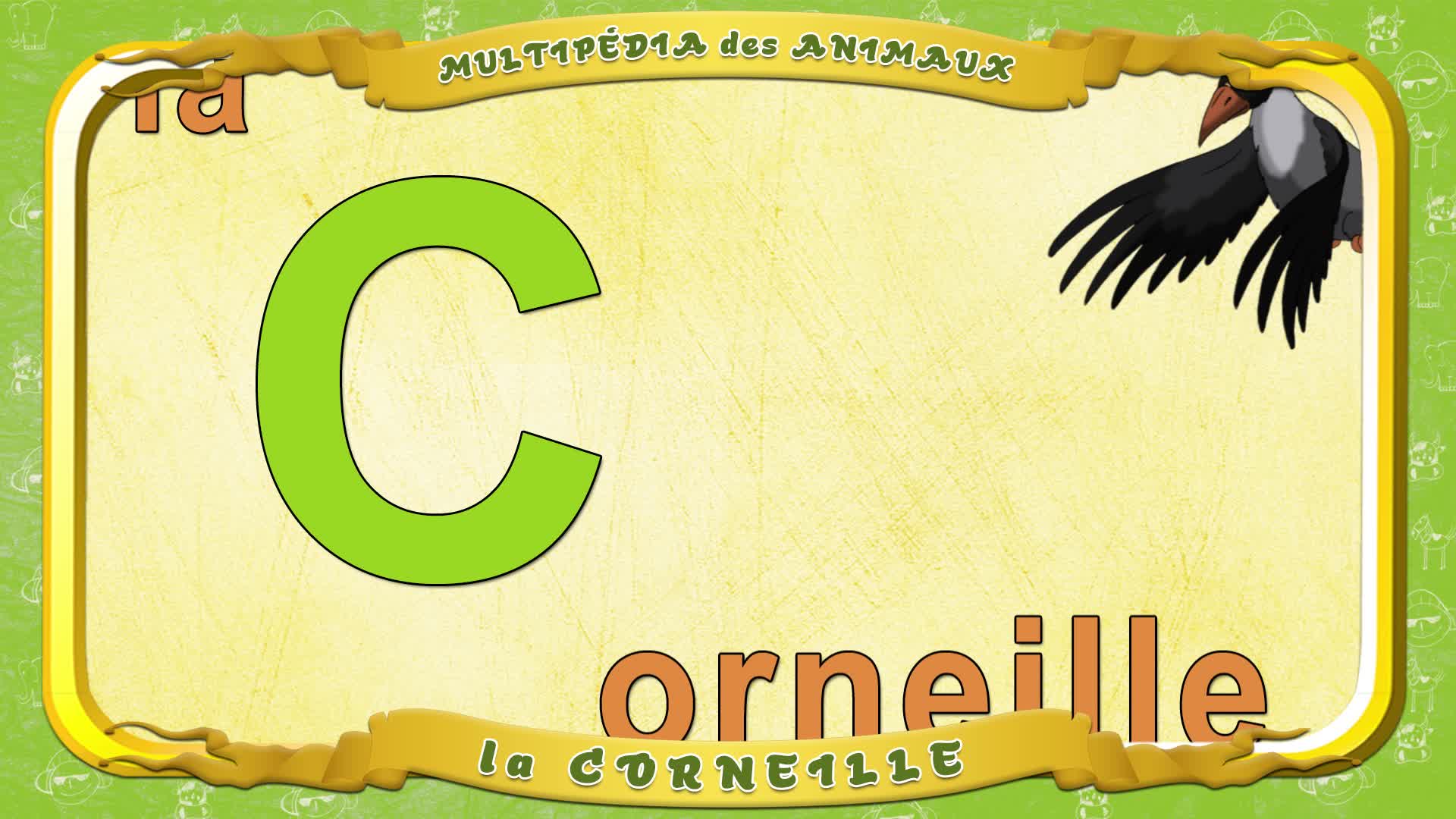 Multipédia des animaux. La lettre C - la Corneille