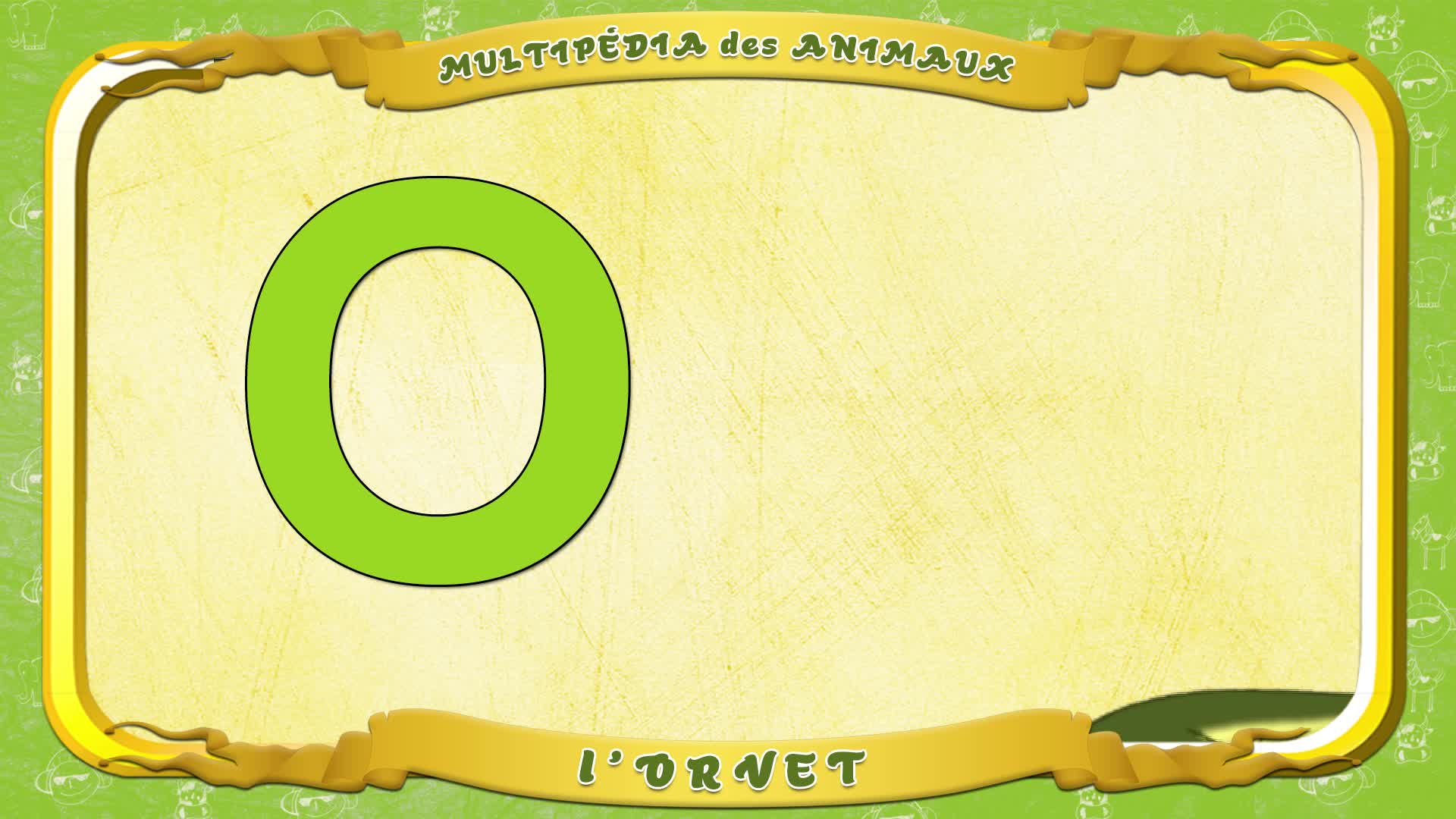 Multipédia des animaux. La lettre O - l'Orvet