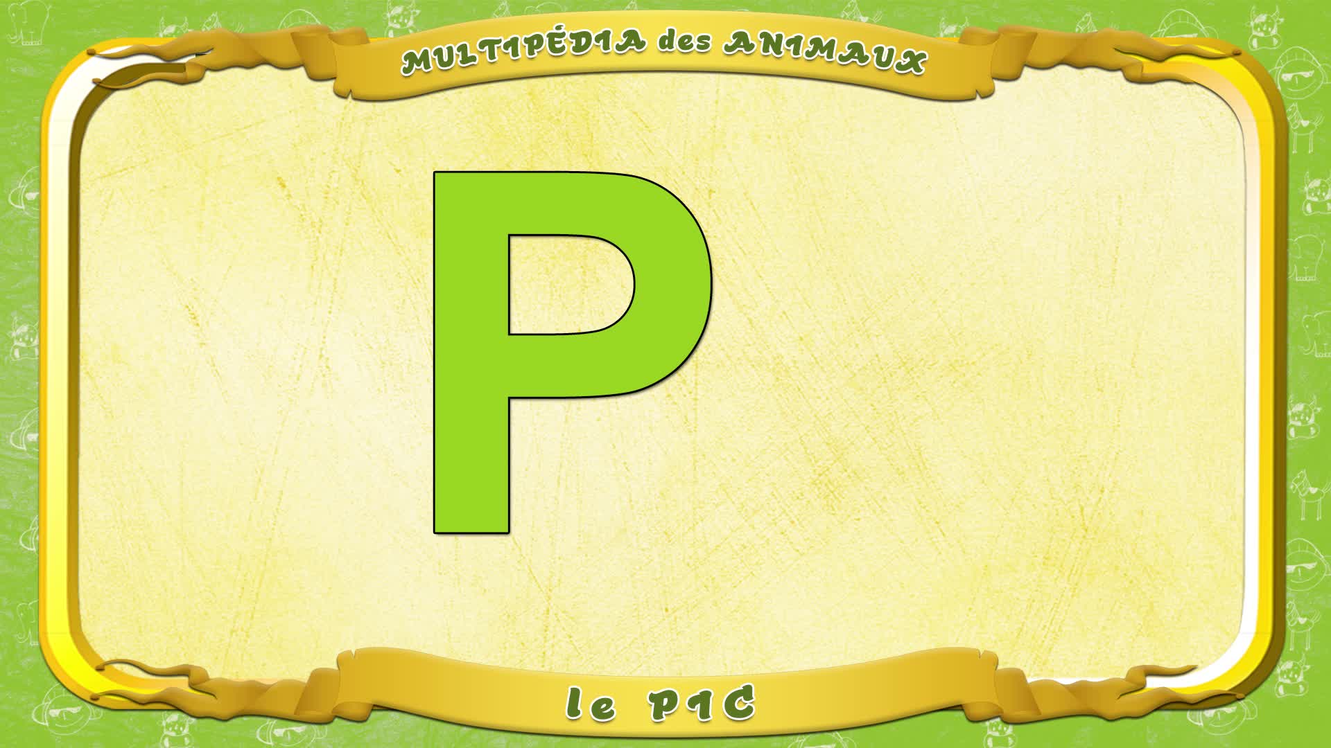 Multipédia des animaux. La lettre P - le Pic