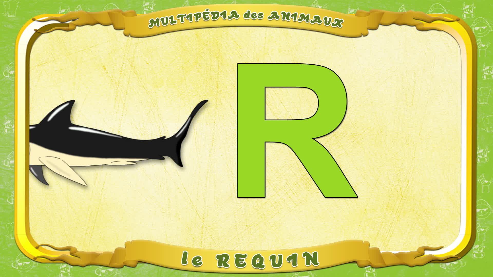 Multipédia des animaux. La lettre R - la Requin