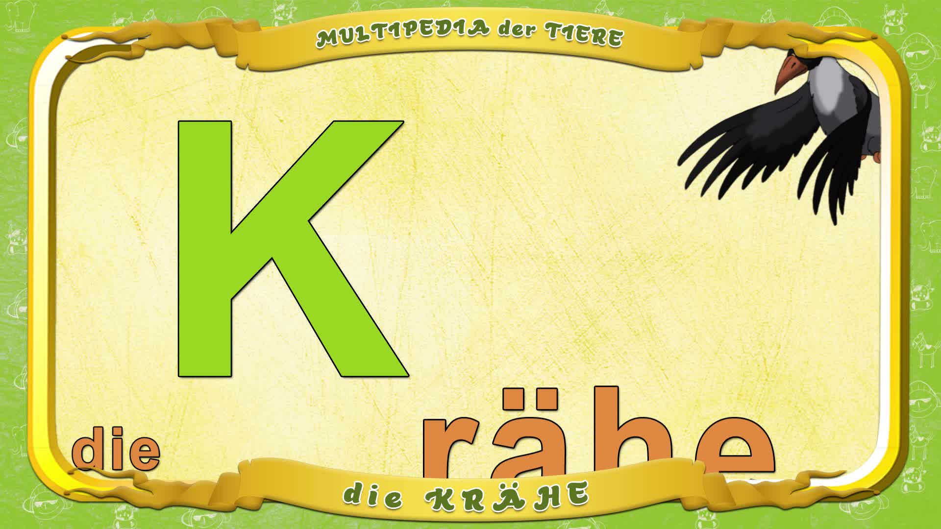 Multipedia der Tiere. Buchstabe K - die Krähe