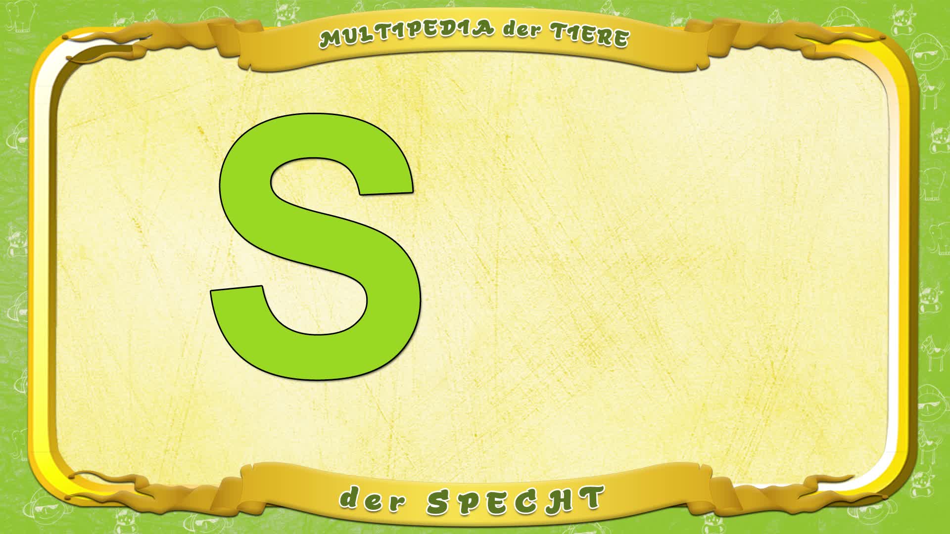 Multipedia der Tiere. Buchstabe S - der Specht
