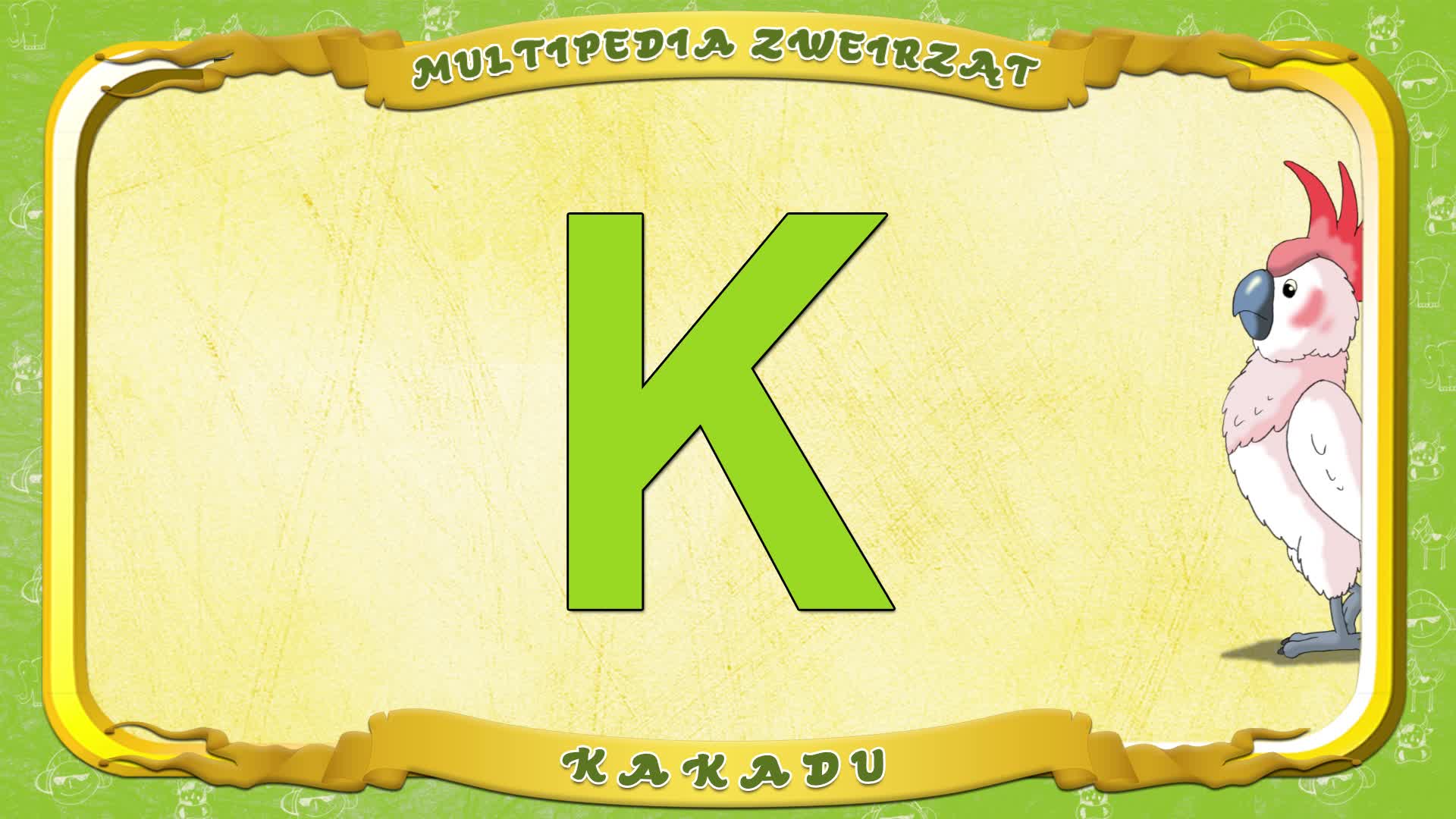 Multipedia Zwierząt. Litera K - Kakadu