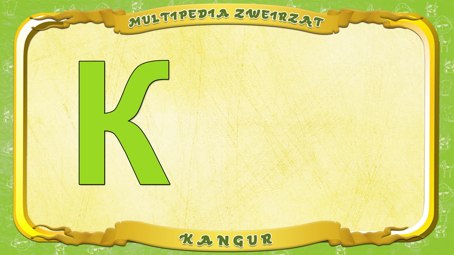 Multipedia Zwierząt. Litera K - Kangur