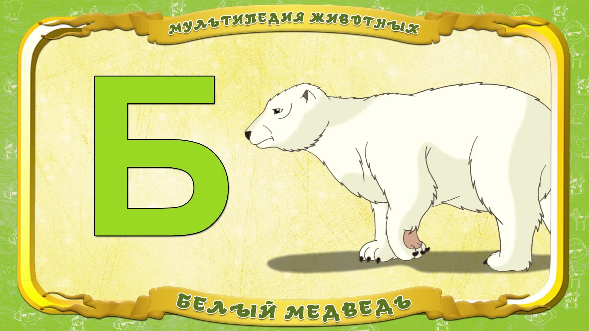 Мультипедия животных. Буква Б - Белый медведь
