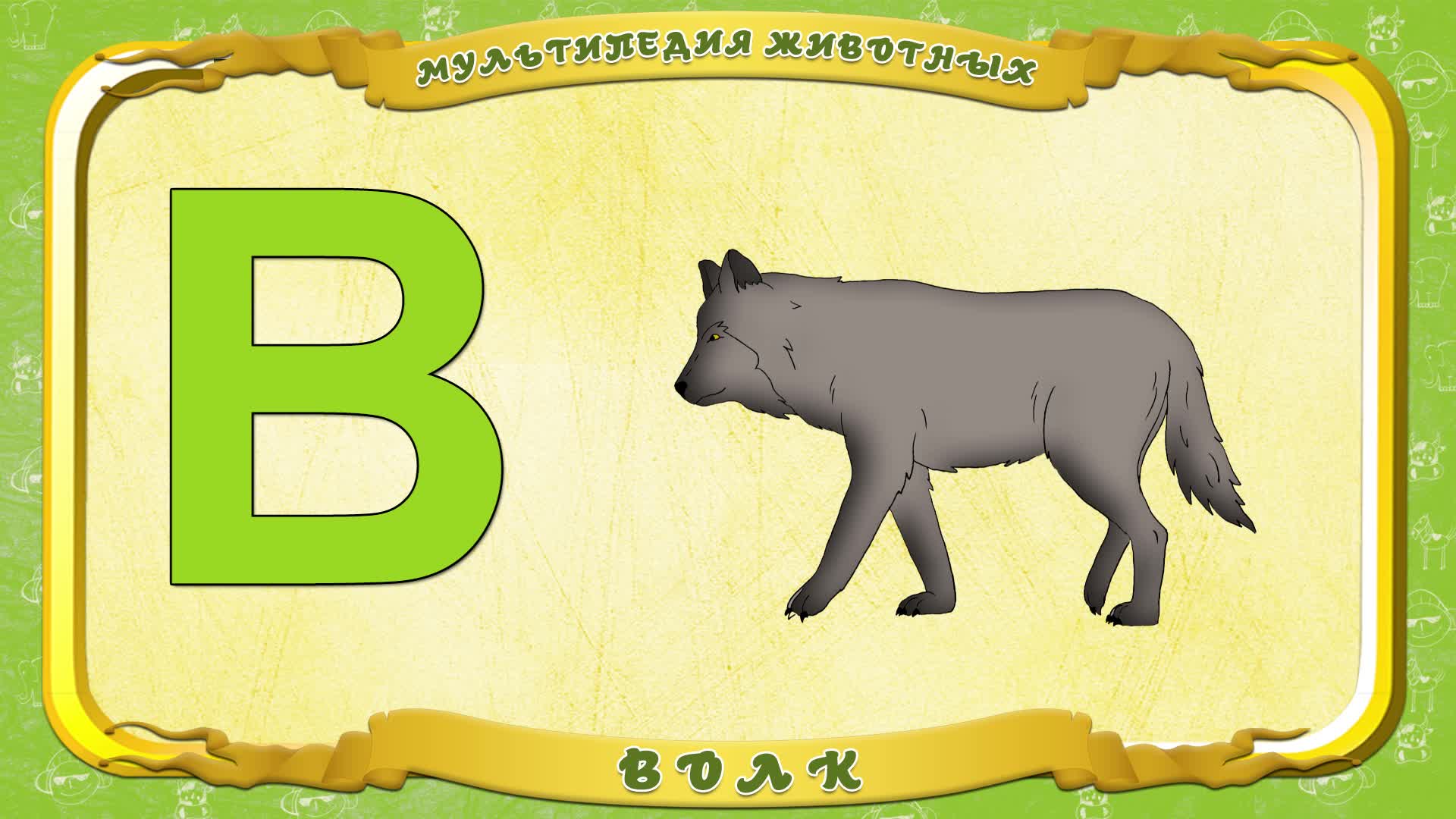 Мультипедия животных. Буква В - Волк