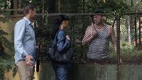 Следствие любви Сезон-1 Серия 20