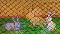 Тео Сезон-1 29 серия